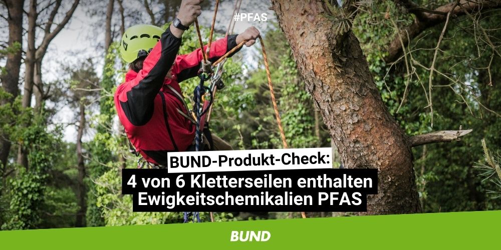 Stichprobenartige Labortests haben ergeben, dass vier von sechs Kletterseilen die Ewigkeitschemikalien #PFAS enthalten. Darunter sind auch #Kletterseile bekannter Marken.

▶ bund.net/service/presse…