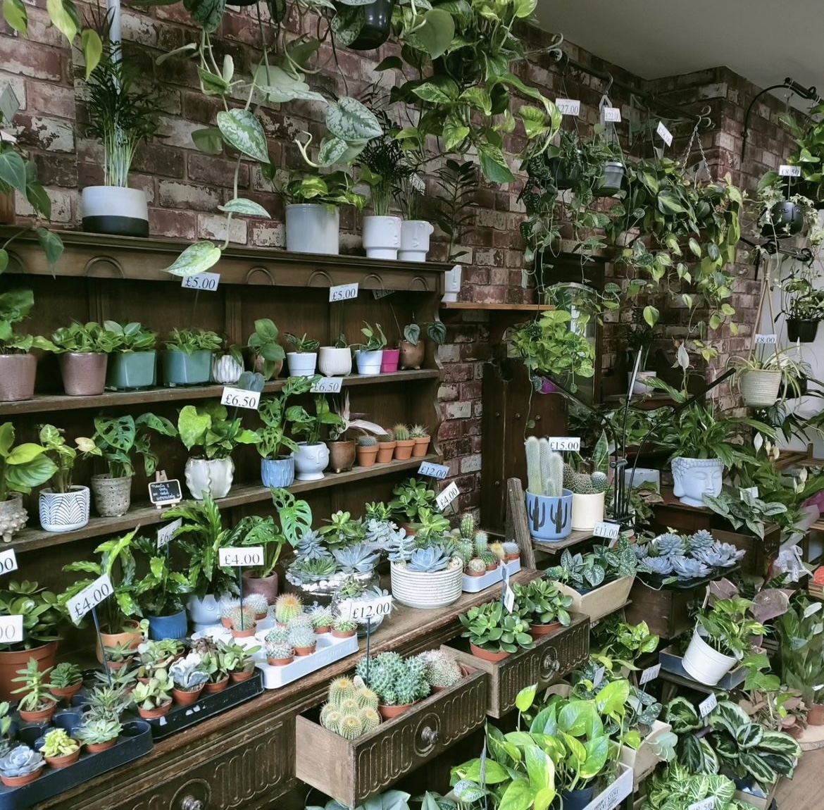 bedfordarcade's tweet photo. Calling all plant lovers 🌿

Visit Magic Garden Florist for a fantastic range of plants, hand made wreaths, dried flowers bouquets and many more accessories!

#arcadebedford #shoplocal #shopping #bedford #giftinspo#plants #plantsofinstagram #foilage #leaves https://t.co/8cp0SZLJDK