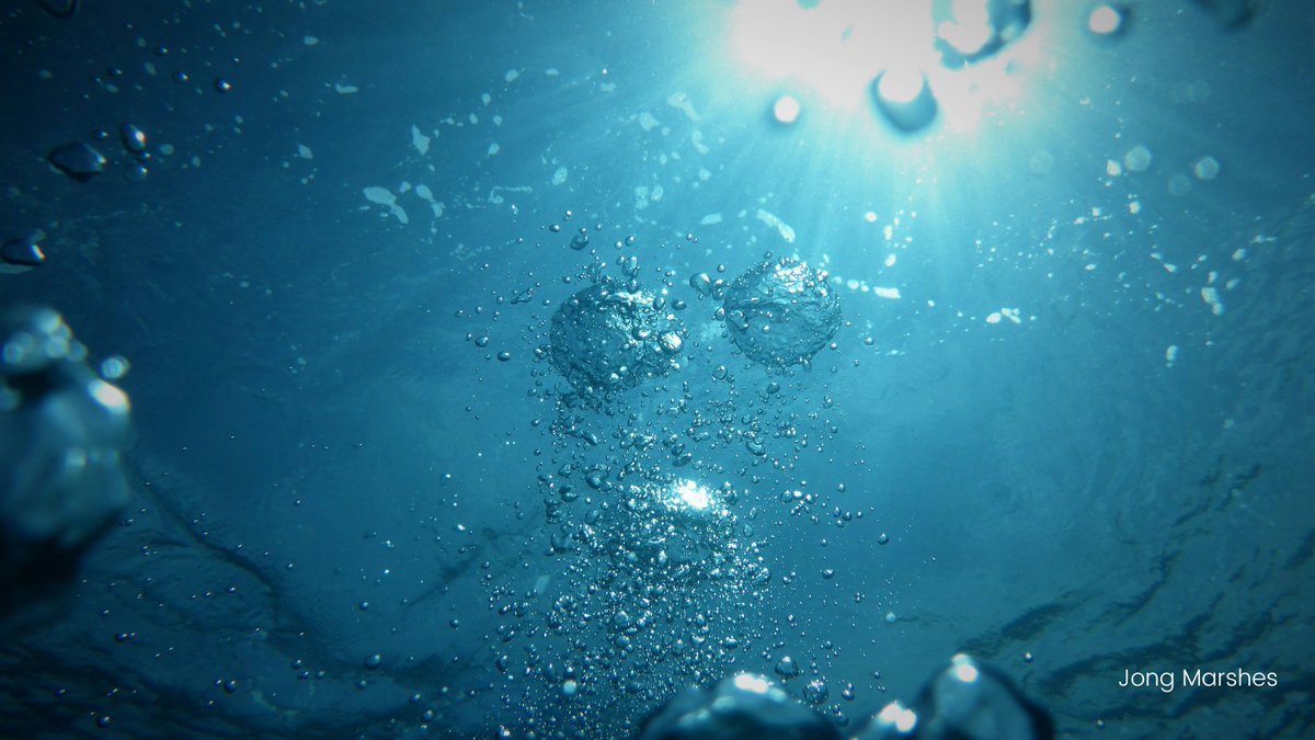 3️⃣ Device developed to turn water, sunlight and carbon dioxide into green fuel

Scientists at Cambridge University have developed ‘artificial leaves’ that float on water and produces a fuel which does not emit fossil-derived carbon when burned. 

theguardian.com/environment/20…