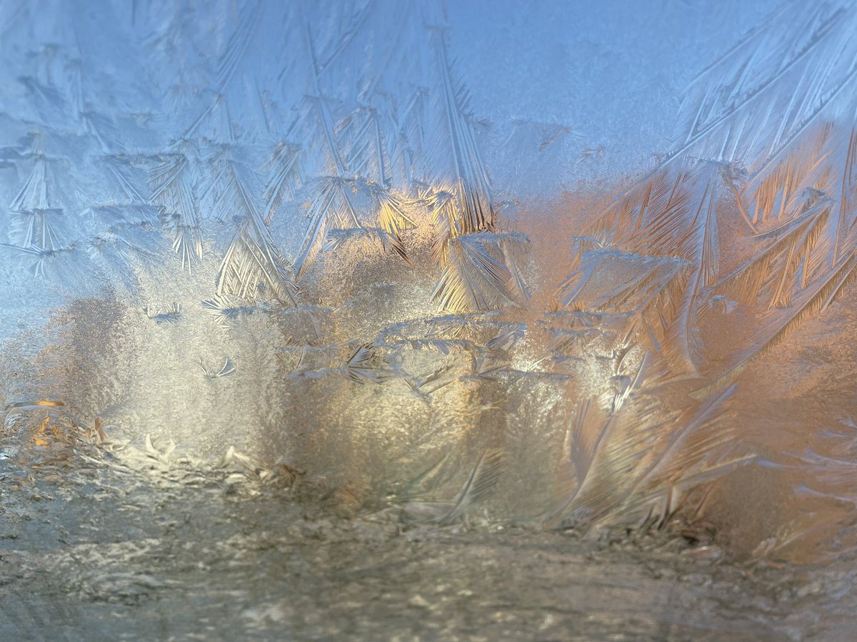 We meet again, frost. You beautiful devil.