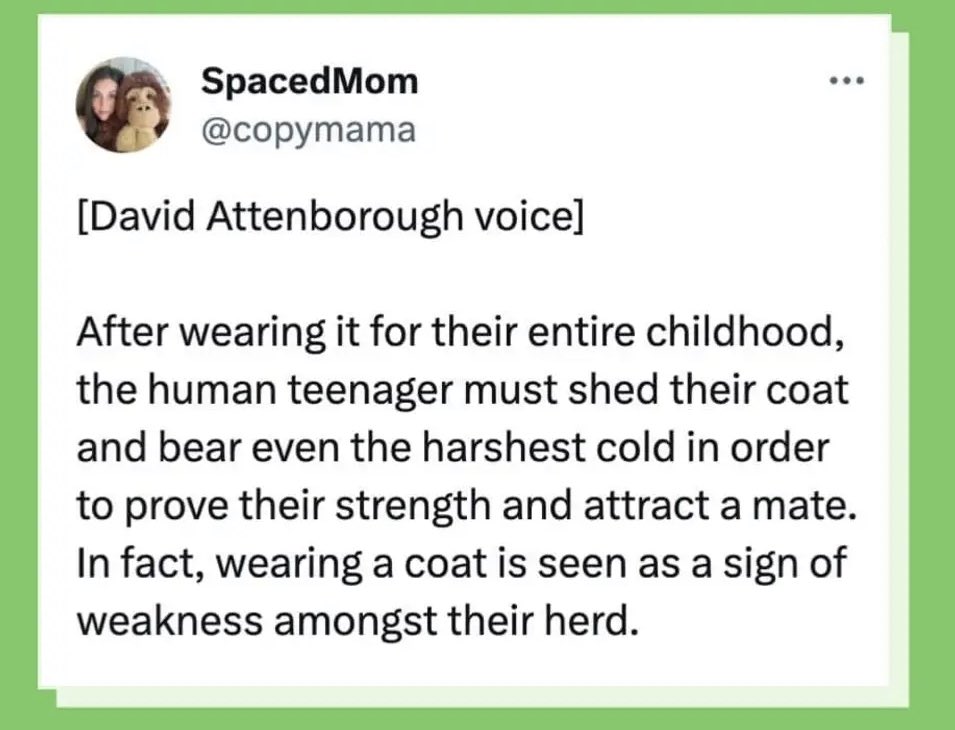 Joy Halliday💙 tweet media