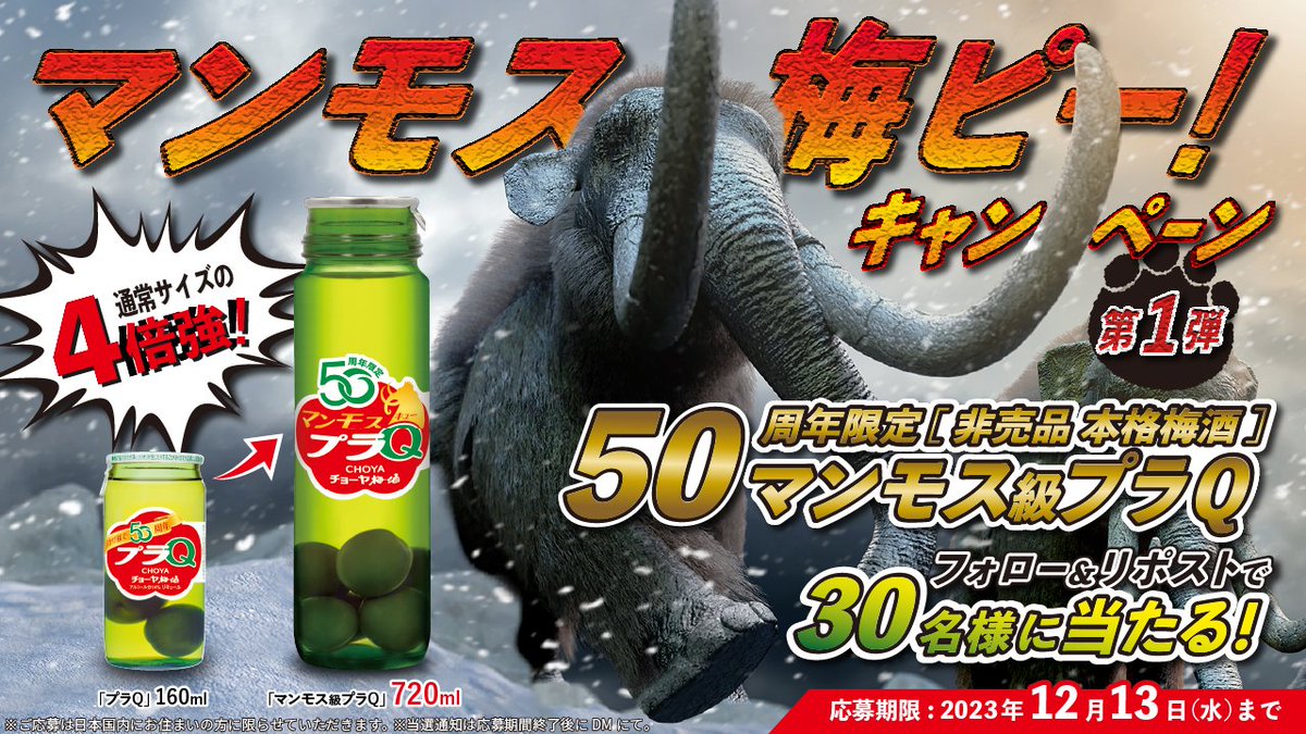 CHOYAofficial's tweet photo. 🌈お陰様で50周年🎉✨
マンモス梅ピーキャンペーン実施中✨
本格梅酒プラQの50周年を記念して❗️
通常サイズの４倍強🦣✨
非売品❗️「マンモス級プラQ」
を抽選でプレゼント🎁✨
＜応募方法＞
①@CHOYAofficial をフォロー
②期間中に対象投稿いずれかをリポスト
で受付完了✨
ぜひご参加ください✨ https://t.co/uN729wWtAU