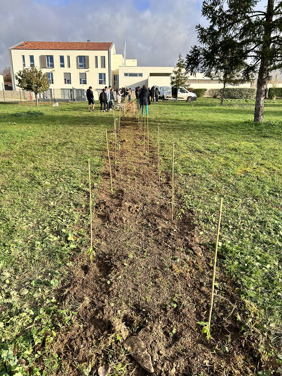AdonisZouein's tweet photo. Plantation de haies de fraîcheur au LP JF Cail  #E3D. Merci et bravo 👏👏👏aux équipes et aux élèves engagés dans ce projet « Sciences Grandeur Nature » et merci à la région @NvelleAquitaine  pour son soutien 🙏  @DSDEN79 @acpoitiers 

https://t.co/k39aWqqq2L https://t.co/m0NLDO0GTj