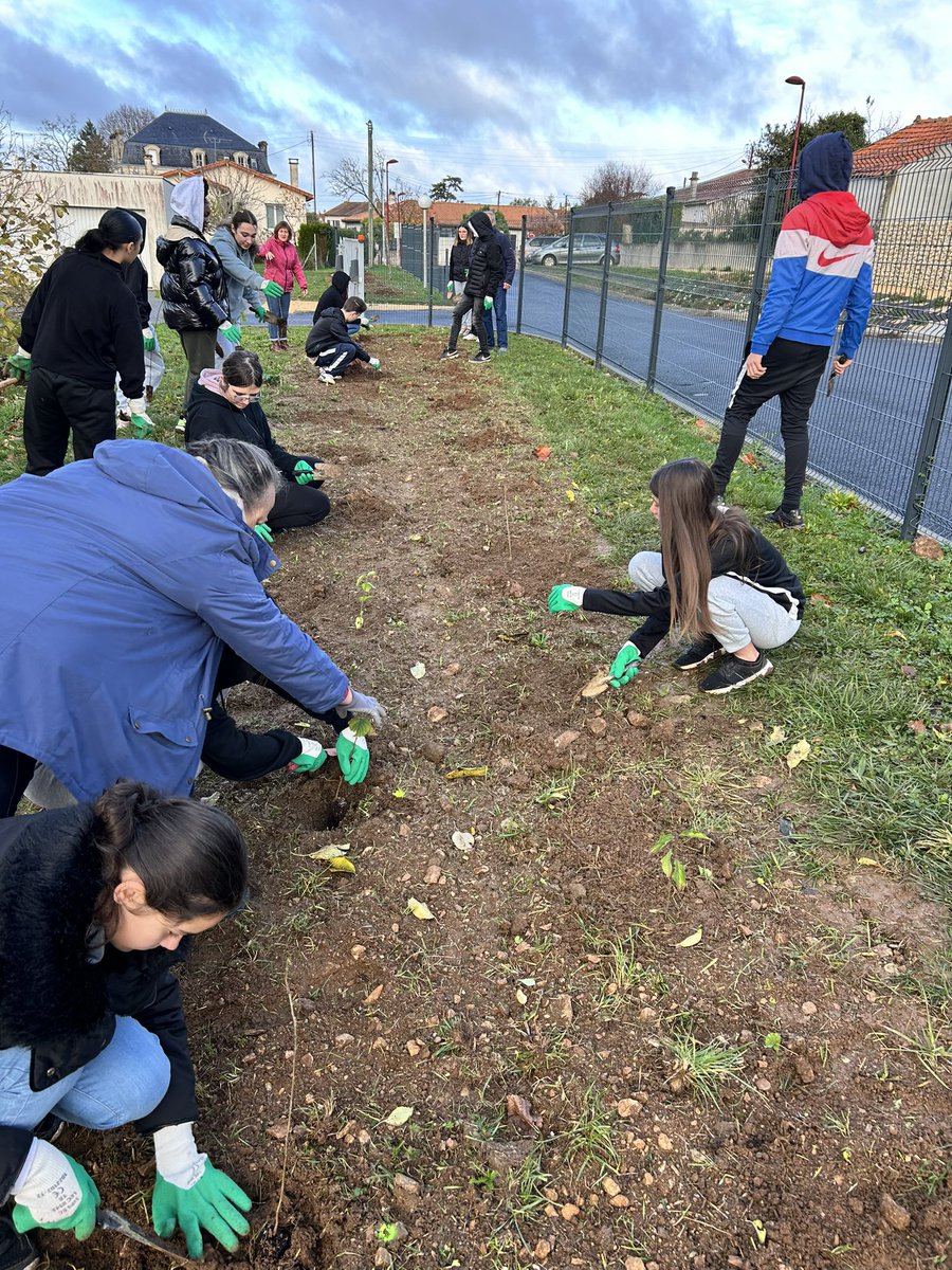AdonisZouein's tweet photo. Plantation de haies de fraîcheur au LP JF Cail  #E3D. Merci et bravo 👏👏👏aux équipes et aux élèves engagés dans ce projet « Sciences Grandeur Nature » et merci à la région @NvelleAquitaine  pour son soutien 🙏  @DSDEN79 @acpoitiers 

https://t.co/k39aWqqq2L https://t.co/m0NLDO0GTj