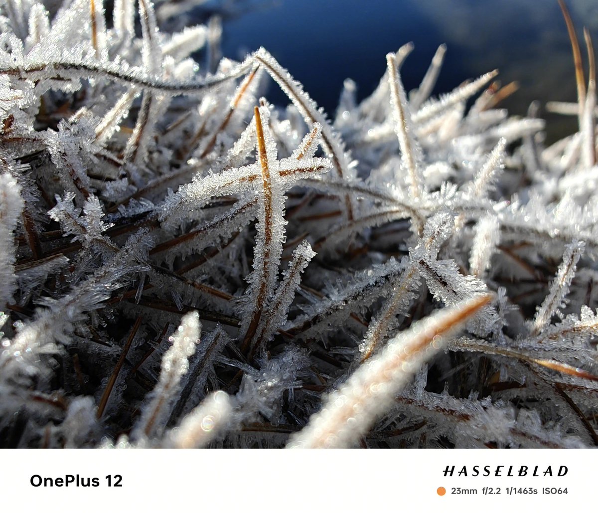 drbeel_techno's tweet image. - دعم المغناطيسي Qi2
- بطارية 5,400mAh مع شحن سريع 100W
- دعم الانفرارد IR blaster
- مقاومة للماء و الغبار
- معالج Snapdragon 8 Gen 3
- شاشة 2K OLED
- ذاكرة رام 24GB LPDDR5x
- ذاكرة تخزين 1TB UFS 4.0
و سيتم الإعلان عن هاتف #OnePlus12R و سماعة #OnePlusBuds3Pro