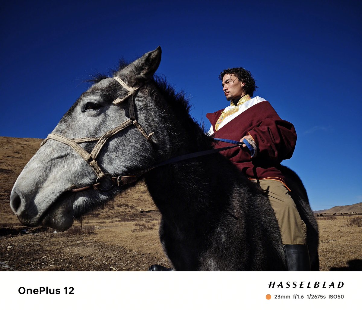 drbeel_techno's tweet image. - دعم المغناطيسي Qi2
- بطارية 5,400mAh مع شحن سريع 100W
- دعم الانفرارد IR blaster
- مقاومة للماء و الغبار
- معالج Snapdragon 8 Gen 3
- شاشة 2K OLED
- ذاكرة رام 24GB LPDDR5x
- ذاكرة تخزين 1TB UFS 4.0
و سيتم الإعلان عن هاتف #OnePlus12R و سماعة #OnePlusBuds3Pro