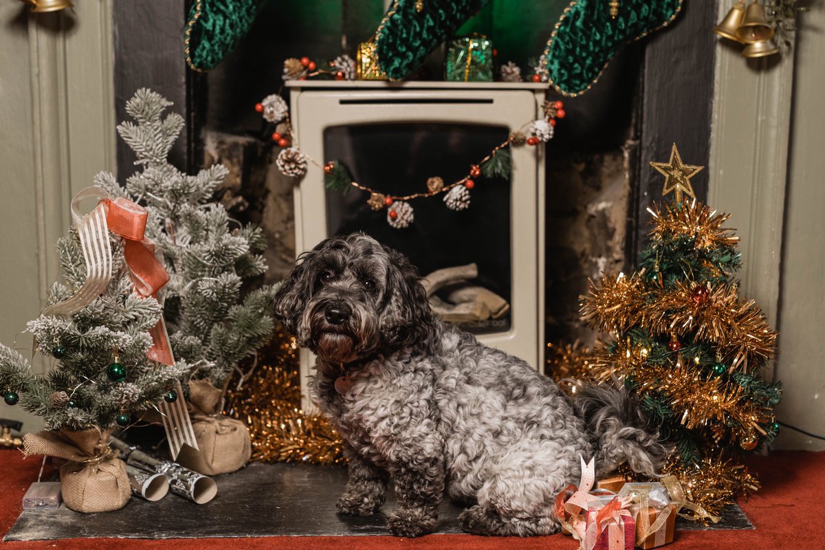 Great photo shoot last week at <a href="/TheUnionClub/">The Union Club</a> with the talented <a href="/sumanuppal8/">Suman Uppal</a>