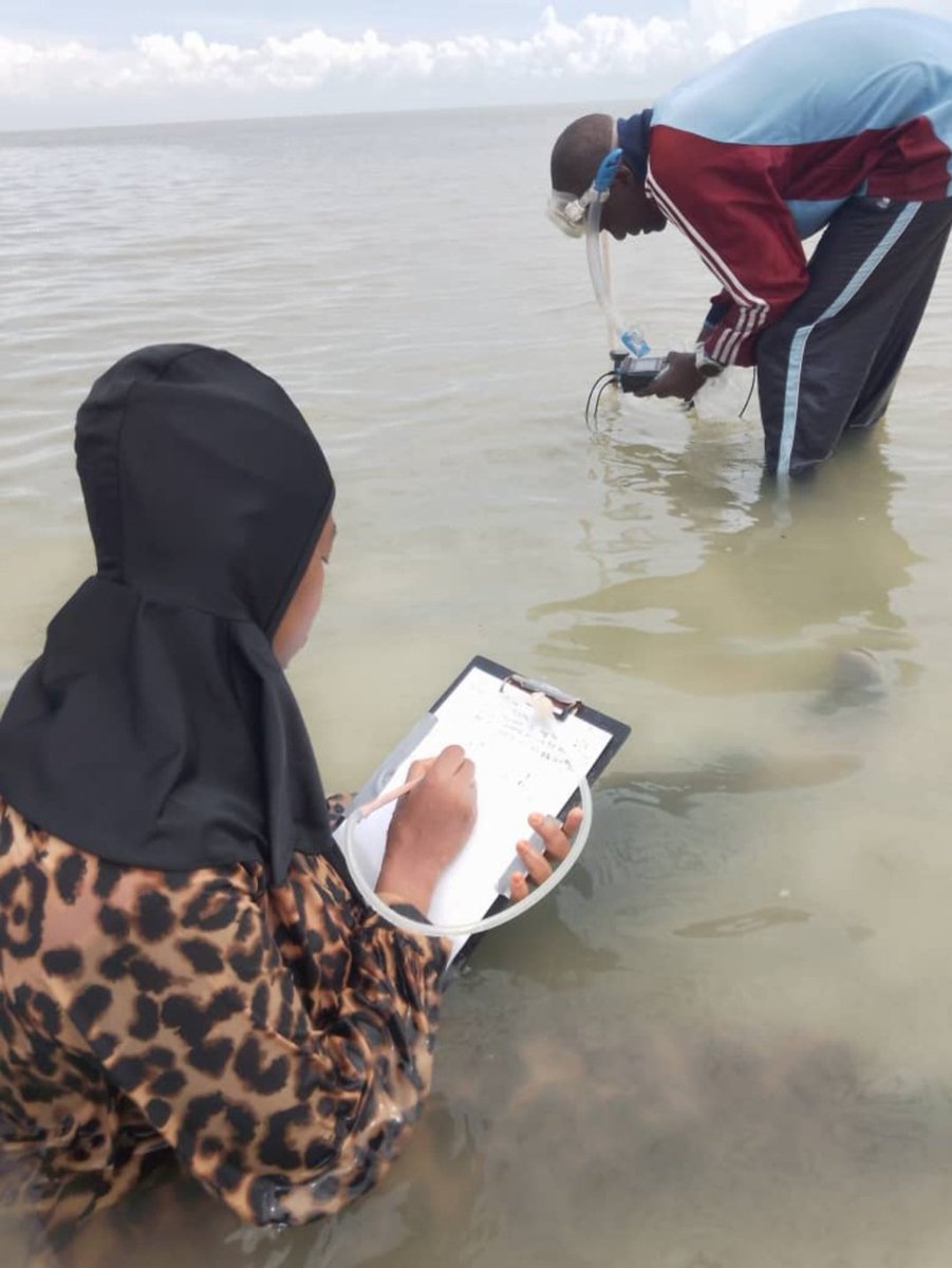 DrMariamHamisi's tweet photo. It's all about Blue Carbon, Loving what I do #Seagrass #Mangroves #GHGemissions #carbonsequestration
 @lyimo_liberatus https://t.co/4JqYHoxQjD