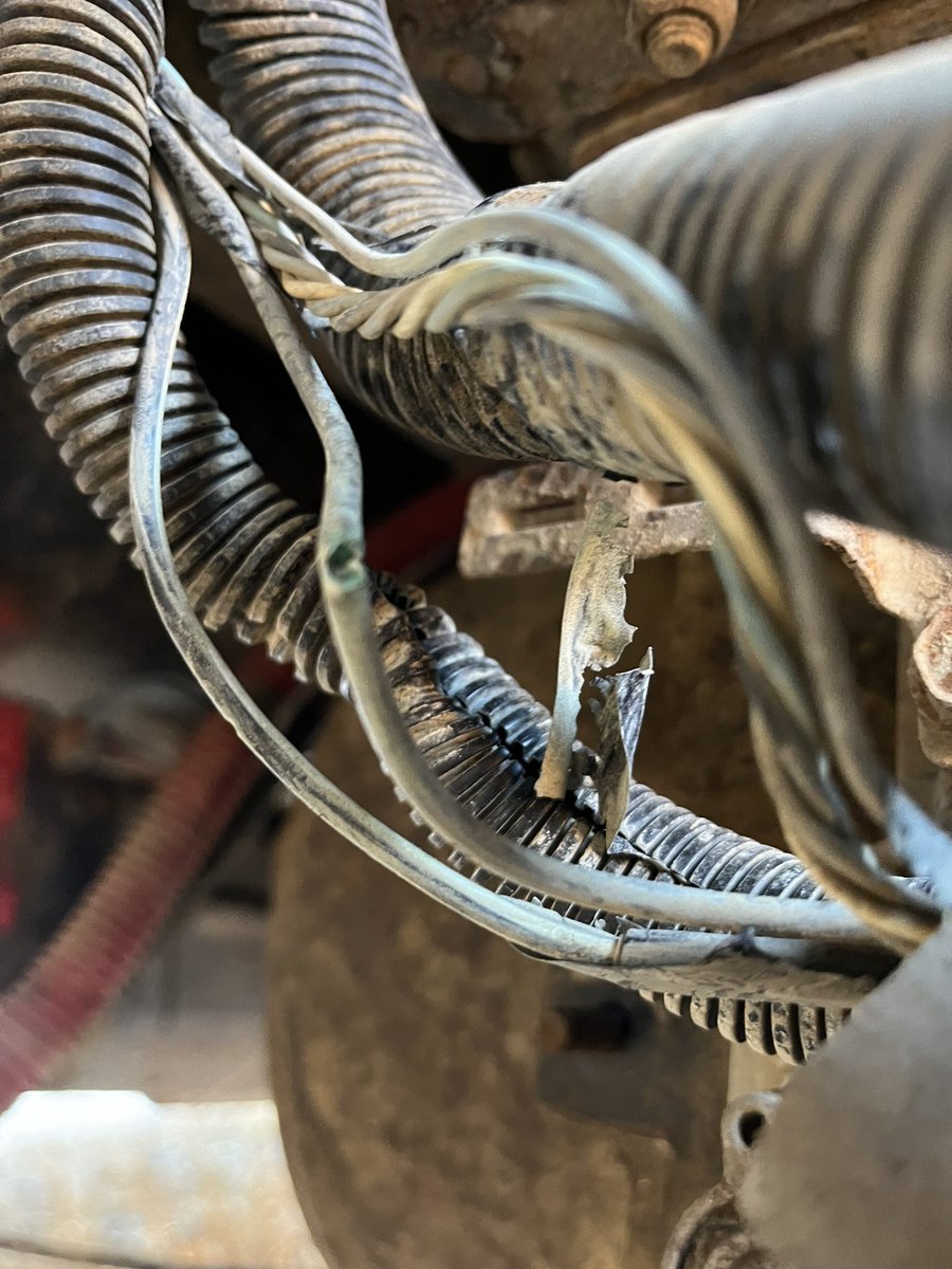 CRToney🧢 tweet media