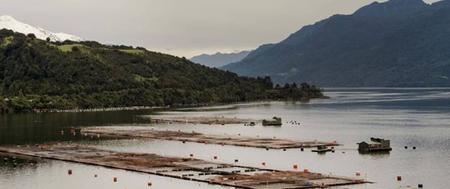 U. Mayor lidera red de expertos que busca potenciar la soberanía alimentaria de Chile bit.ly/3RkJw6v