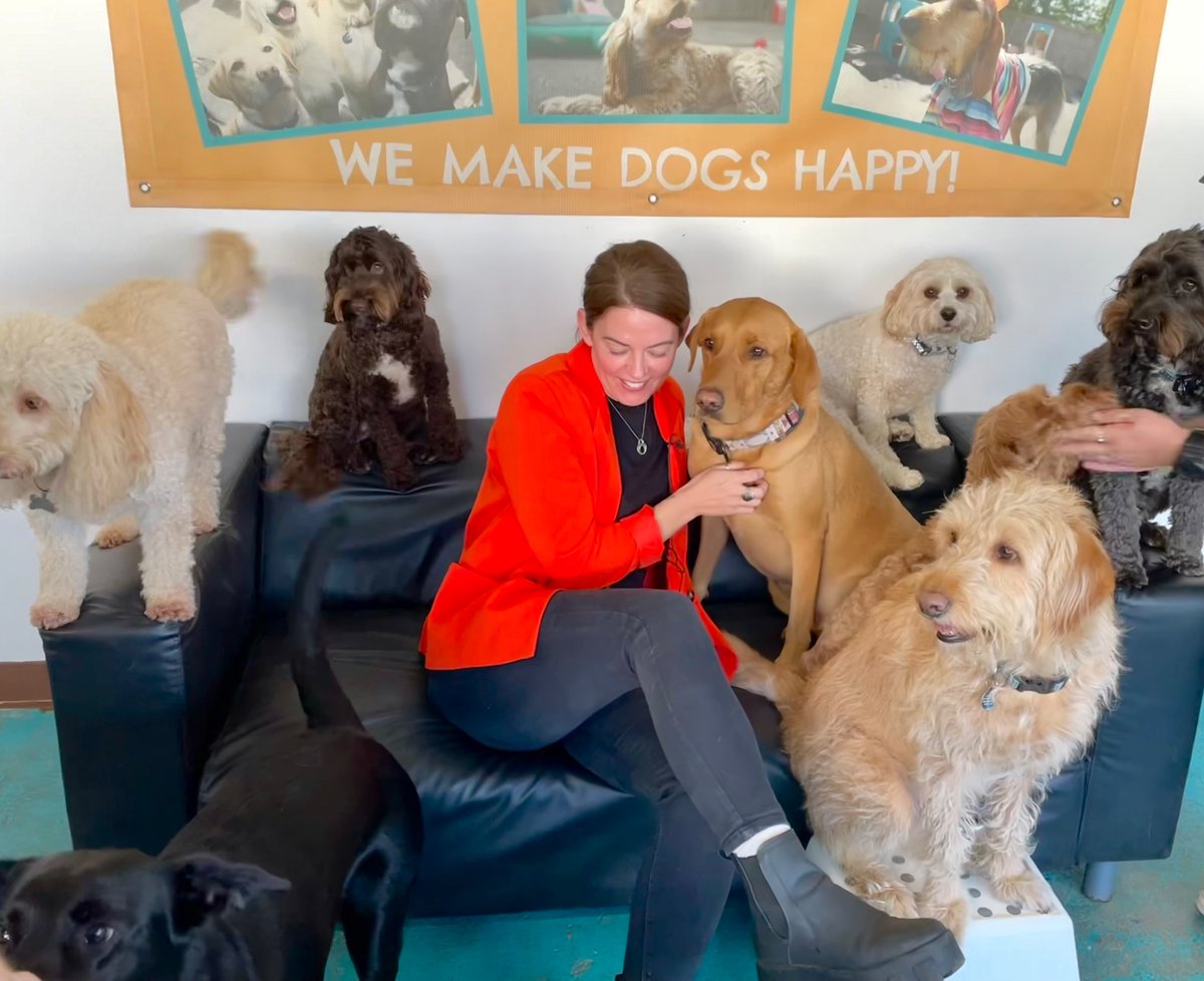 Zoie O'Brien tweet media