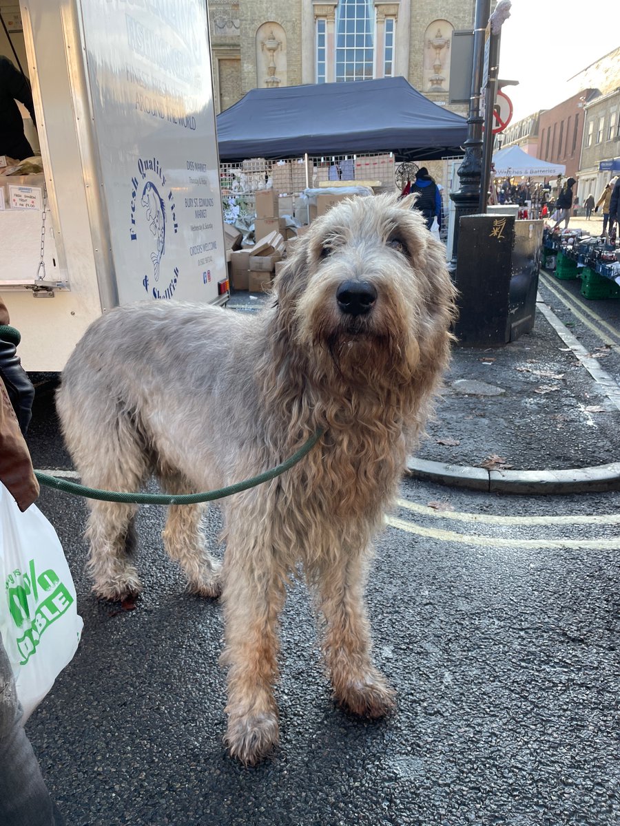 Zoie O'Brien tweet media