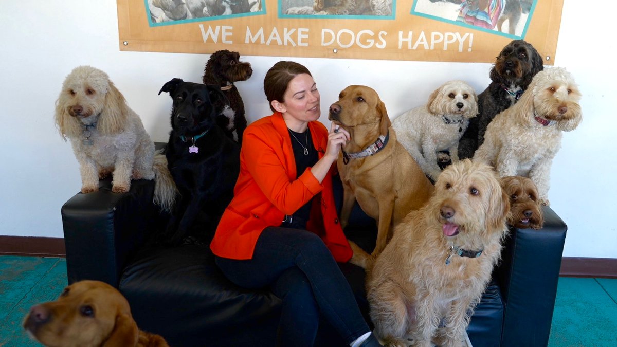 Zoie O'Brien tweet media