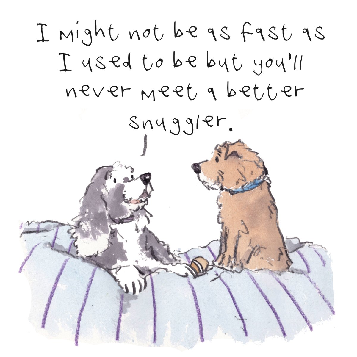 I hope that you are having a really lovely day so far, lovely people and lovely dogs.
Hooray for snuggly dogs.
I'm wishing you the very best for the rest of your day. 
#hoorayfordogs #cockerspaniel #borderterrier #snuggle