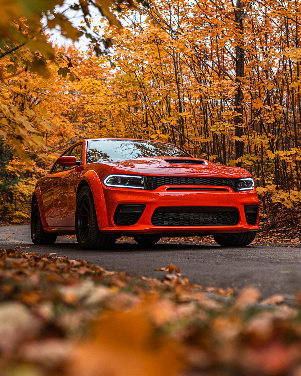 Dodge tweet media
