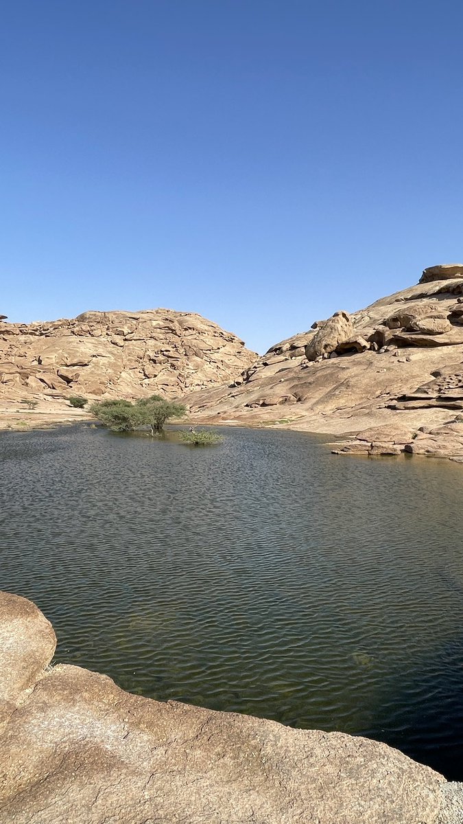 abdllhbnmhmd's tweet photo. أسعد الله مسائكم بكل خير 
مباشر من جبال مركز #قطن 
شمال شرق محافظة #عقلة_الصقور
غرب #القصيم_الان https://t.co/NSOo56eyOG