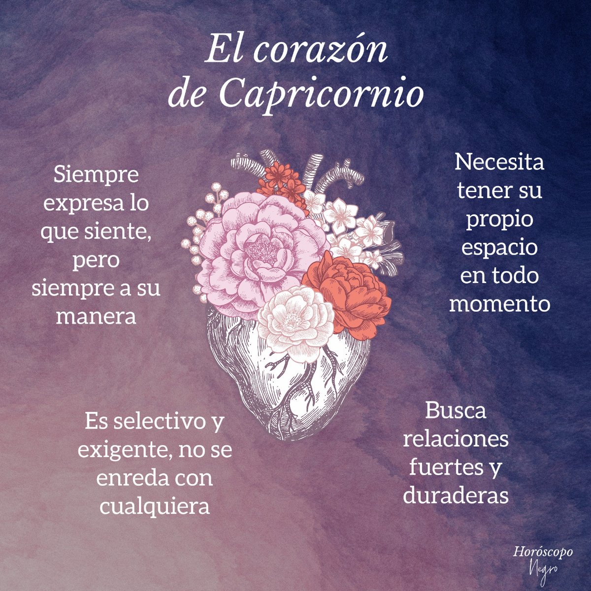capricornio_hn's tweet photo. ¿Algo más que decir sobre el corazón de Capricornio? Comenta y háznoslo saber ✨🖤✨ https://t.co/pn7chcKttp