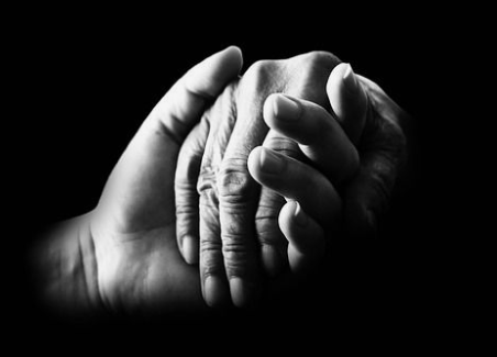 LoneWolf tweet media