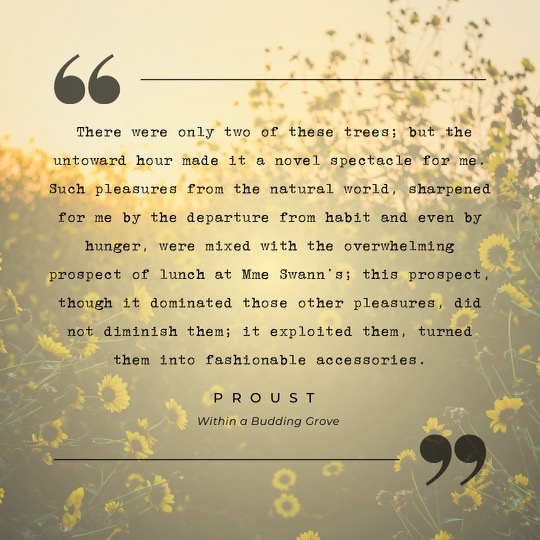 Proust's all-encompassing enjoyment of a moment.

#withingabuddinggrove #Proust #Literature #literary #MarcelProust #literarycriticism #reading #books #time #memories #remembranceofthingspast #thesearchforlosttime