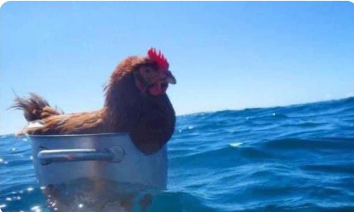 shawnmondes_'s tweet image. .@ShawnMendes were coming to you. lol #mendesarmy