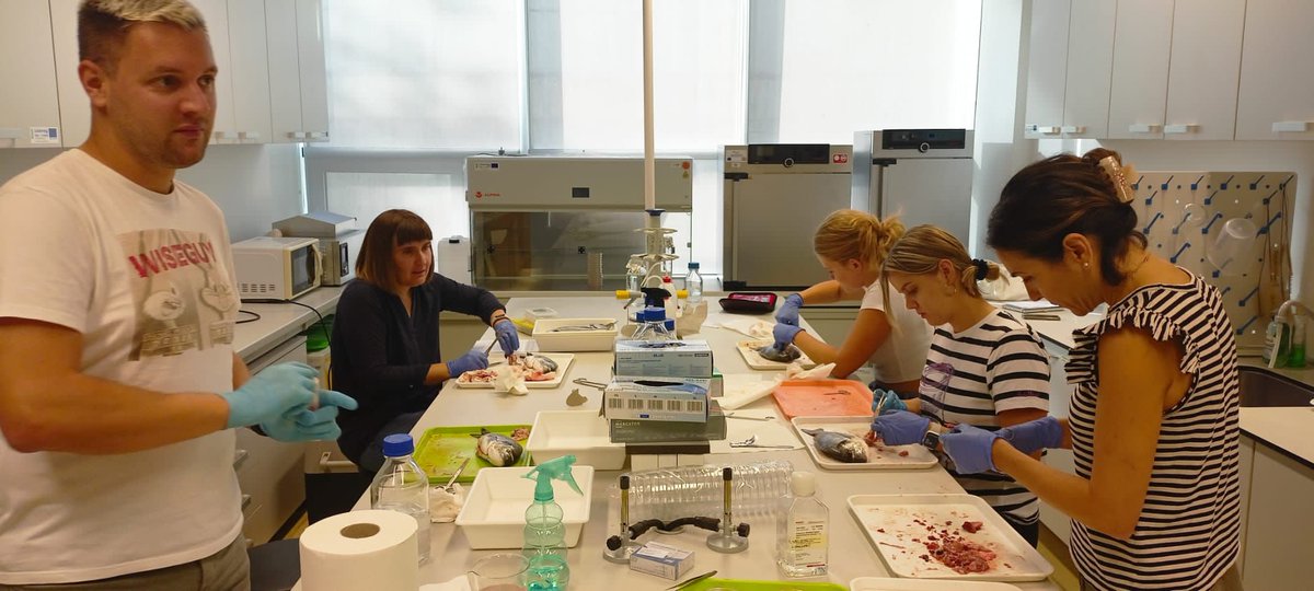 Cure4Aqua_EU's tweet photo. 🐟Introducing #bioprinting in aquaculture fish health: @BiologyCentre and @HrUnist are sending gills to @TissueLabs to develop a matrix to create the first fish bioprint! 

Stay tuned for more info! #AquaticResearch #HorizonEurope #RAQresearch #Innovation #FishHealth #HorizonEU https://t.co/KnrsnPqm2X