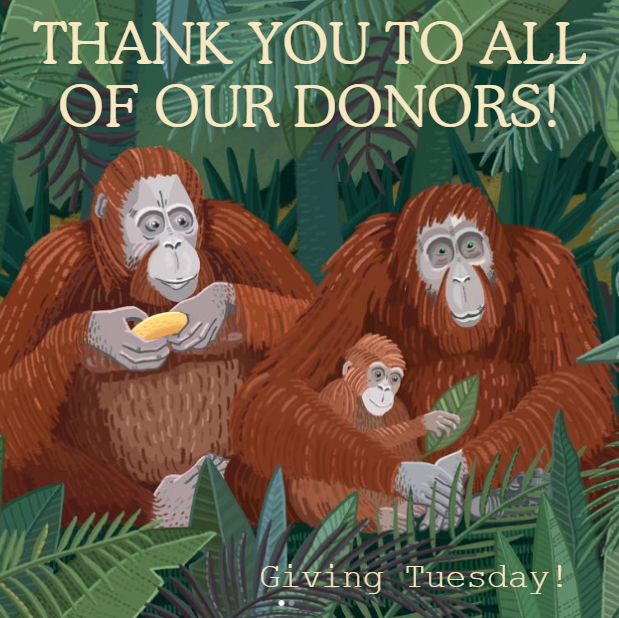 ASPvoice's tweet image. Thank you to everyone that participated in Giving Tuesday!

You can continue to show your support for ASP by donating to one (or more!) of our funds. asp.org/support/