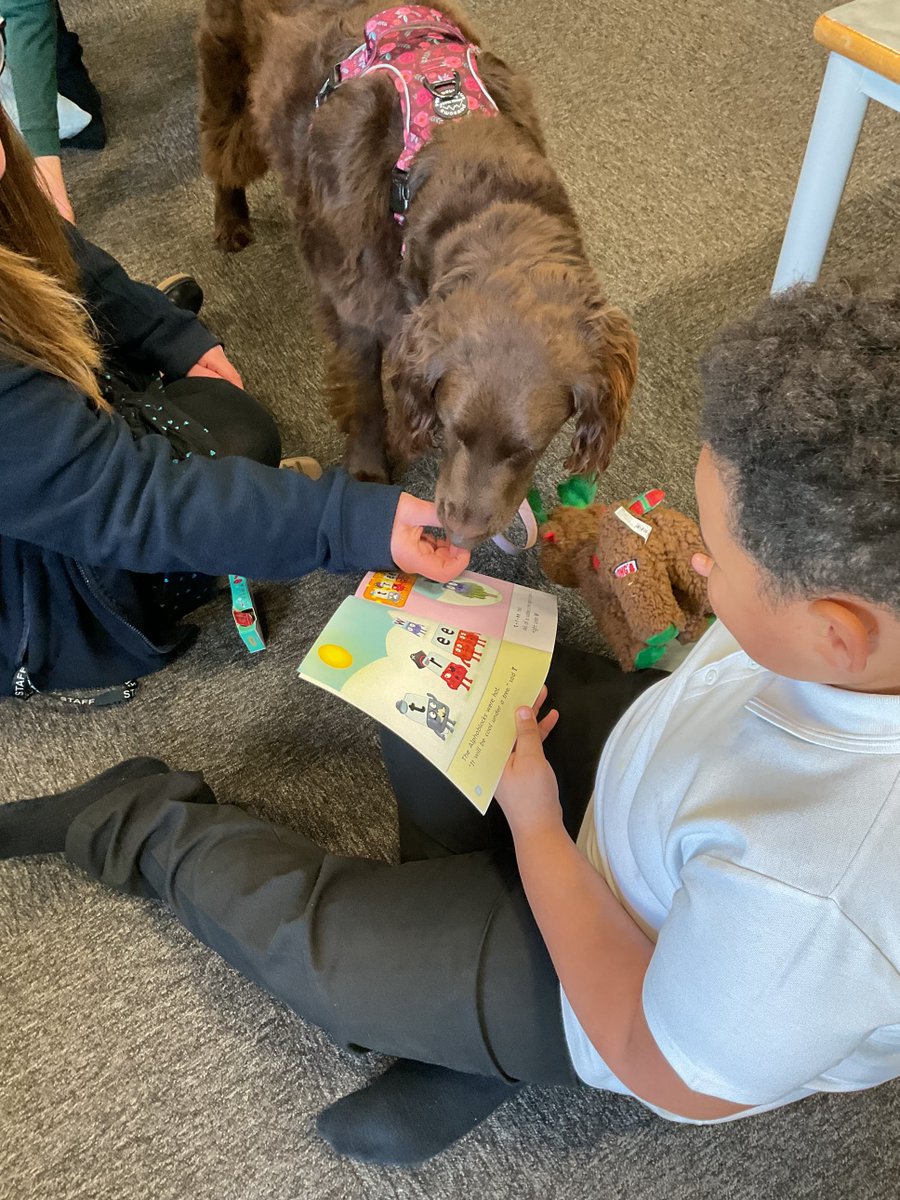 Bridgeview_Hull's tweet photo. #ClassPeace had a wonderful experience reading to Maddie the dog this afternoon. MH - thought the red panda in his book looked a bit like her. CN - Maddie is the cutest dog ever, I loved reading to her 🐶📚 https://t.co/SLhEJhMbHr