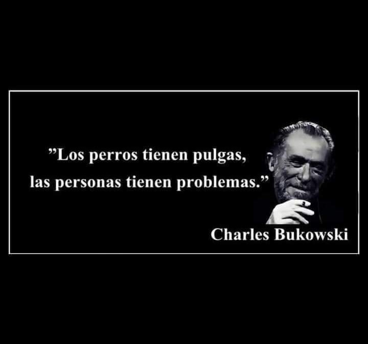 caruz7's tweet photo. https://t.co/PSSSTDrw4n