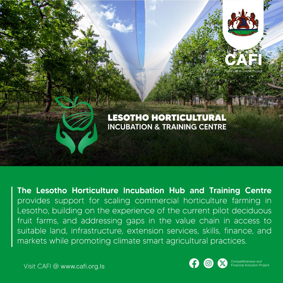 cafiproject's tweet photo. Welcome to Lesotho Centre Horticulture Incubation Hub &amp; Training Center!
Allow us to introduce you to the future of horticulture! It's not just a place; it's a greenhouse of possibilities! 
#horticulture #farming #agribusiness #agriculture #entrepreneurship #training #lesotho https://t.co/g5R7mHJ6W8