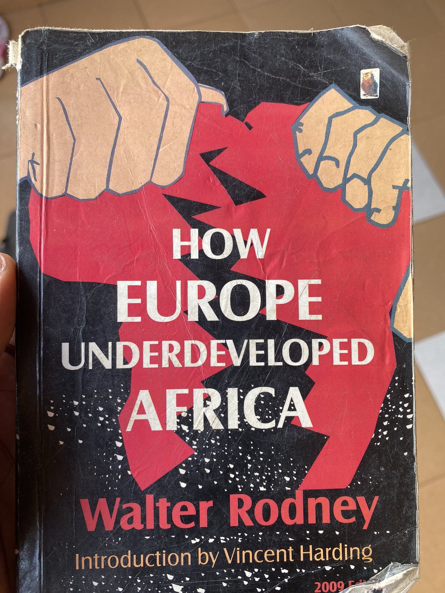 OgbeniDemola's tweet image. This book is one of the most important books every single African must read.