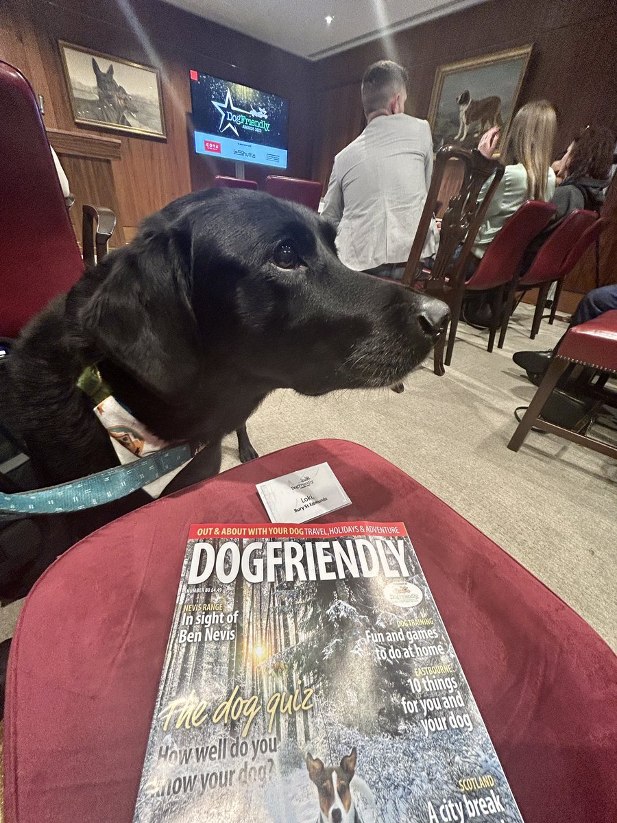 Getting ready to begin at the Dog Friendly Awards in London with the town’s Dog Friendly Bury St Edmunds scheme mascot Loki - wish #burystedmunds luck! 🍀🐾