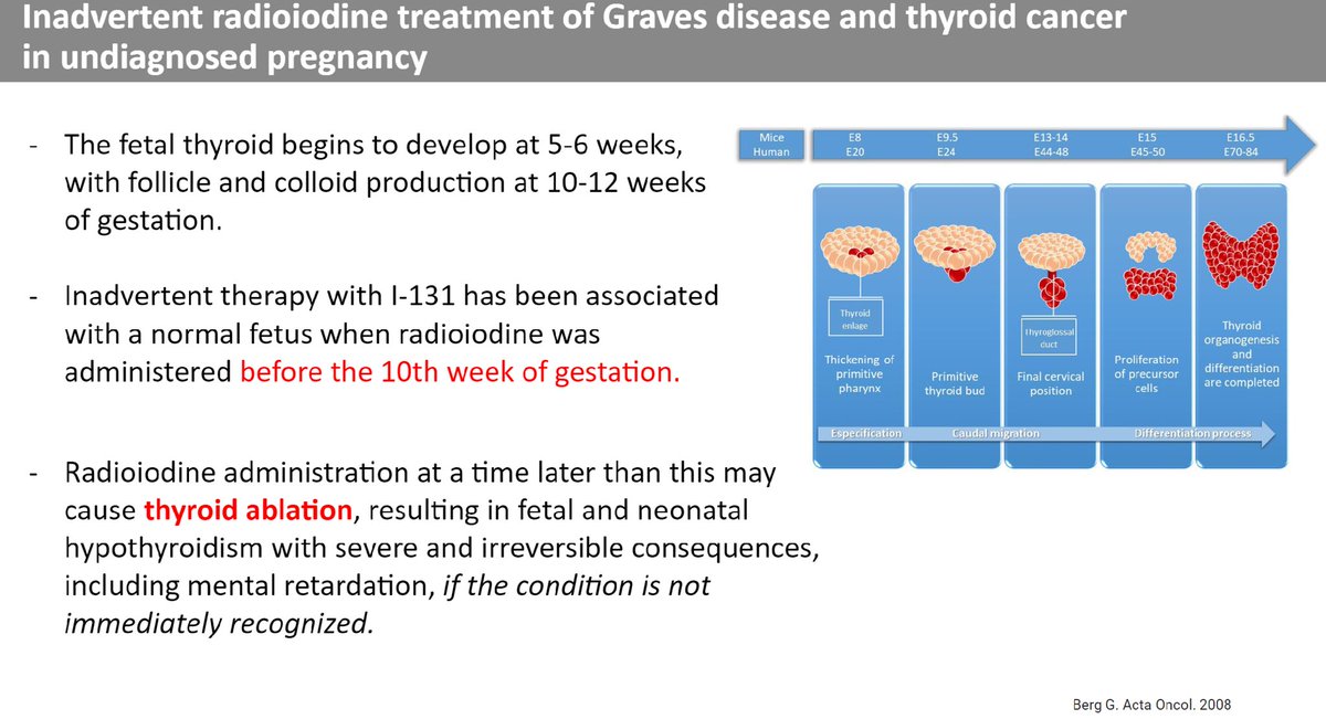 The fetal thyroid develops follicle and colloid production at 10-12 wk of gestation. Inadvertent radioiodine therapy after the 10th-wk gestation can cause fetal and neonatal hypothyroidism. #i131 #pregnancy #fetus #gestation