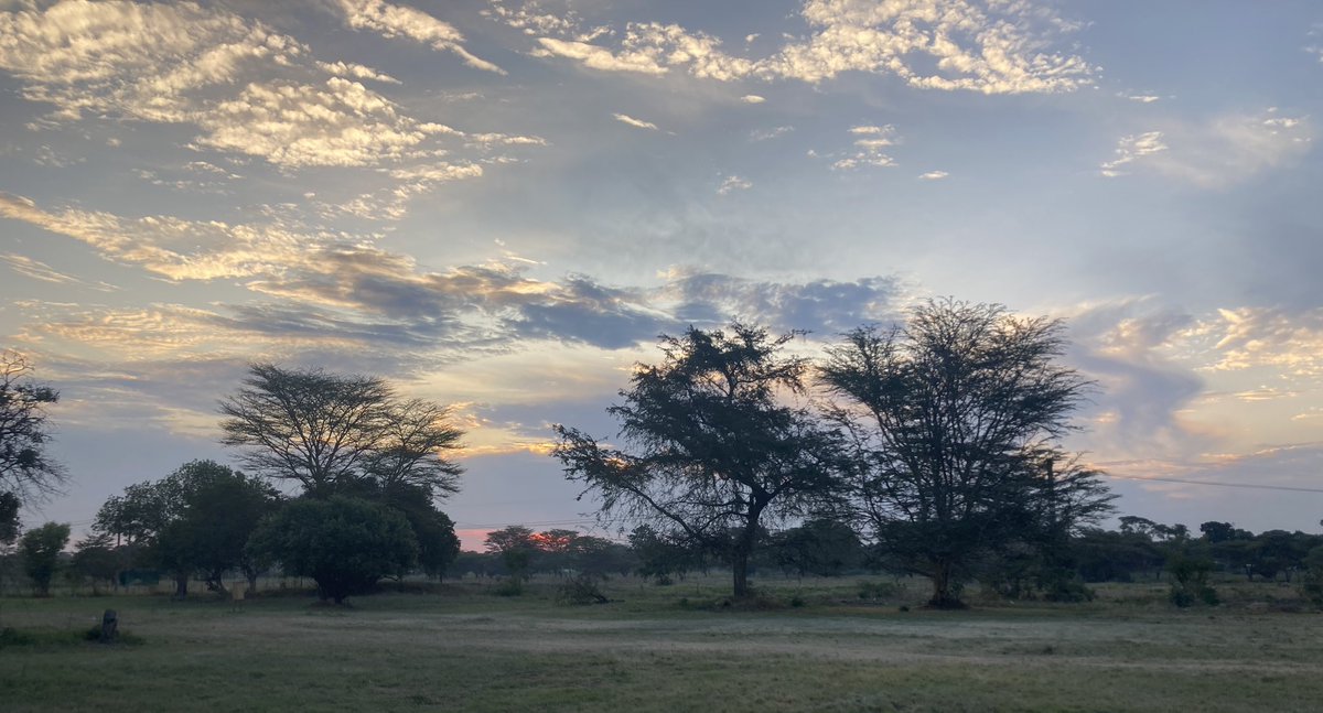 Wonderful to be back in Zimbabwe for the second @AwacanEd Southern Africa School for Cancer Research. With colleagues from @UctCri and @UZimbabwe are delivering a 5-day residential course in Harare, focusing on research methods applied to early cancer diagnosis.