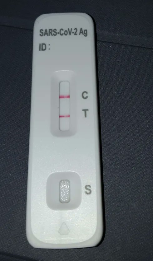 Rainbow Pizza tweet media