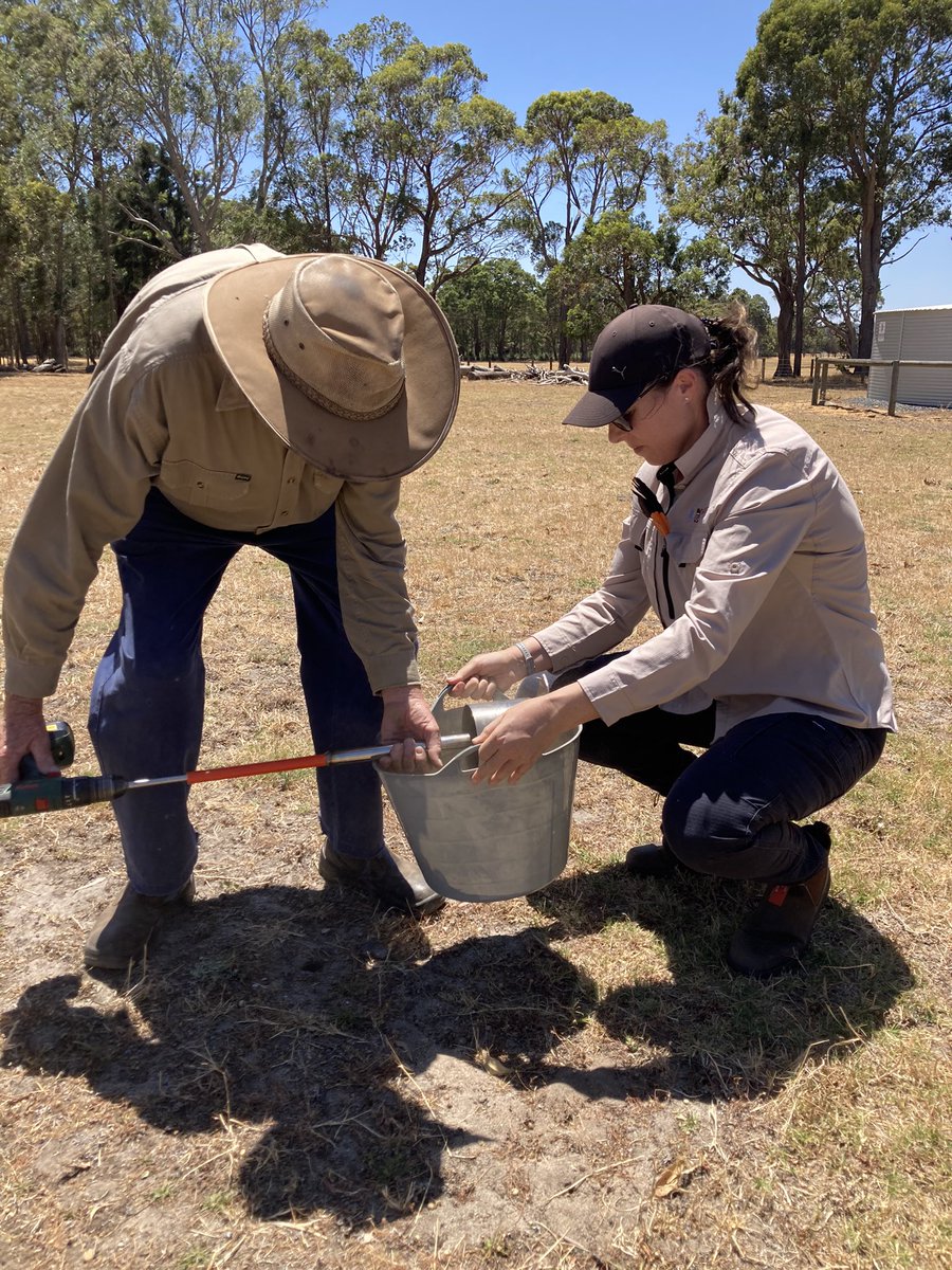 Having fun getting out and about assisting farmers with their #SoilSampling as part of the #BindjarebDjilbaProtectionPlan fertiliser management program. Working together to improve the health of #waestuaries 💦 @leroy_megan @DWER_WA @DPIRDWA @PeelHarveyCC