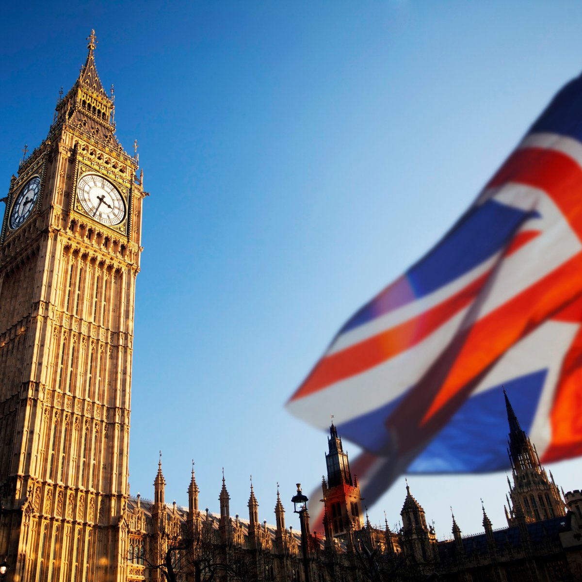 giant pay tweet media