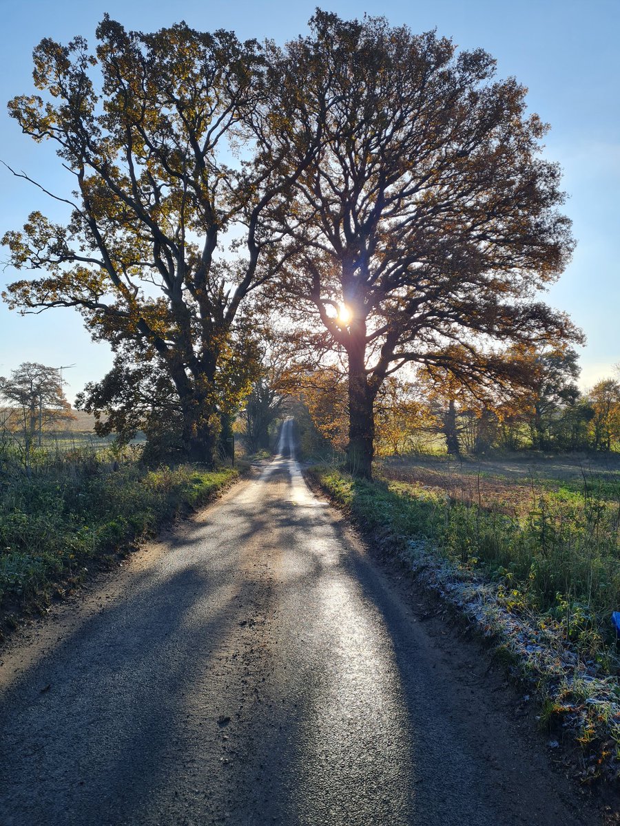 Mac2021The's tweet photo. What a start to the day - chilly but refreshing. https://t.co/wWiec5B22F