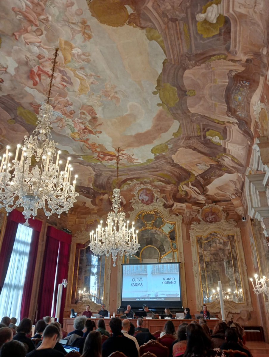 The second day of the conference has begun! "Migration and expectations: seeing the future from the South" panel is underway.