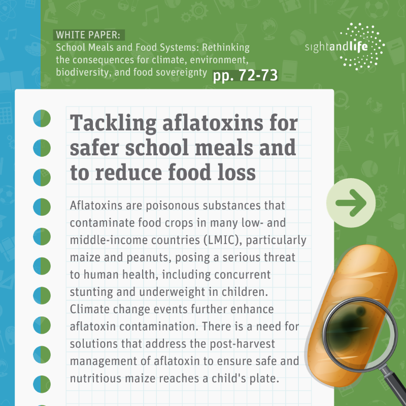SightandLife's tweet photo. How can we adapt our #FoodSystems to a changing climate, while nourishing the next generation in our schools? 🍱

Scroll ➡️ to view our climate-friendly proposals in the visual below.

#COP28 #SustainableFuture
@LSHTM @SchoolMeals_ @KessoGabrielle @danamanquah @mathildafreymon