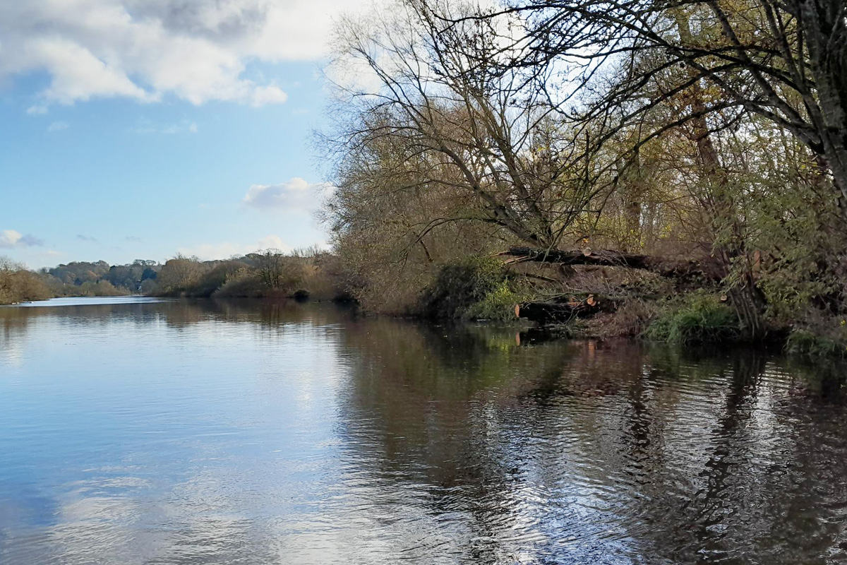 Our Rangers have finished cutting and removing the fallen tree from the River Yare near Bramerton. The marker buoys have been removed and the navigation is now clear again. Seen a navigational hazard? Report to Broads Control on 01603 756056