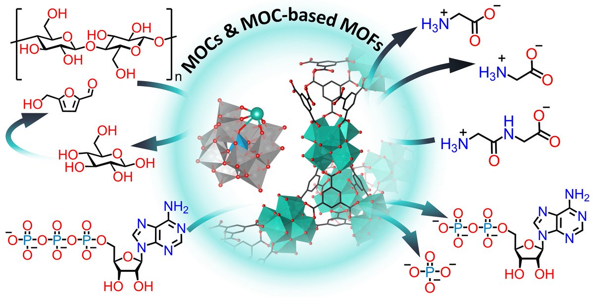 Check our latest review in Chem Soc Rev by David, Nada, and Kilian! It provides a comprehensive overview of the catalytic activity of metal-oxo clusters (MOCs) and MOC-based Metal-Organic Frameworks (MOFs) in the transformation of important biomolecules. 
doi.org/10.1039/D3CS00…