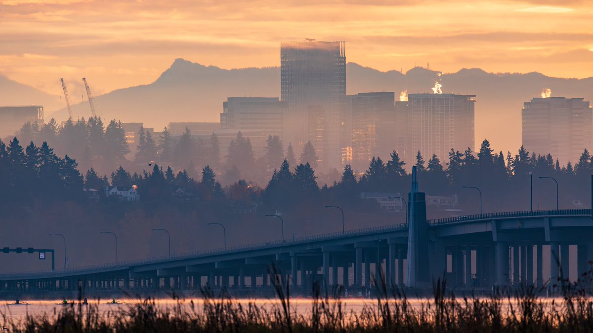 Who else goes out at 7:40am to take photos of critters and landscapes then goes home to take a nap. #Seattle #unionbay #canon #SIGMA #fall #cold #uw #seattlephotographer