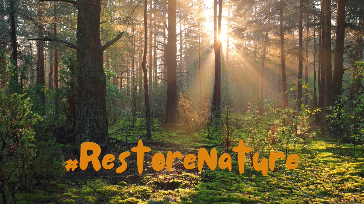 One step closer to the final adoption of the new EU #NatureRestorationLaw 🎉

Following the positive vote by #ENVI today, only the approval by the <a href="/Europarl_EN/">European Parliament</a> Plenary remains to start implementing measures to restore 20% of the EU's land and sea areas by 2030 🌿💦 #RestoreNature