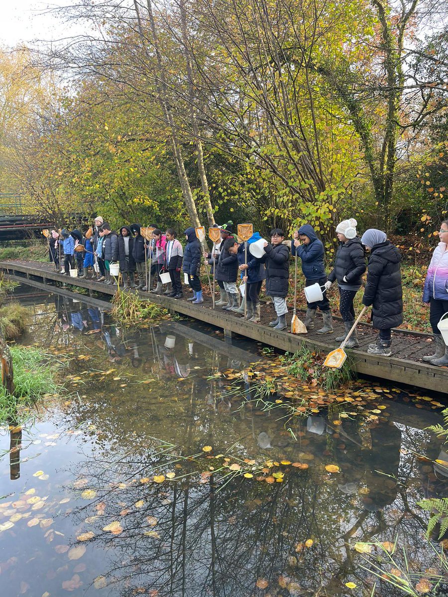 Trinity enjoying pond dipping.