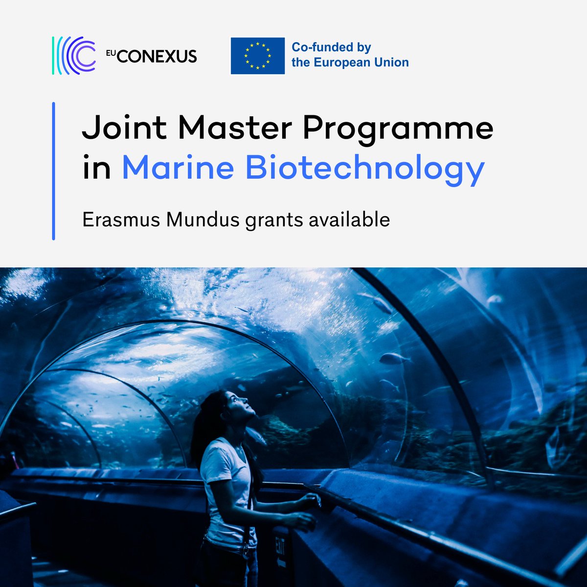 Dive into Marine Biotech! Apply now for the Joint Master’s! 💰 Erasmus Mundus scholarships Jan 31st 🌐Create your Euro network 🛠️ #BlueBiotech research awaits! ✈️ Explore multiple travel options 🌟 More infohttps://www.eu-conexus.eu/en/marine-biotechnology/