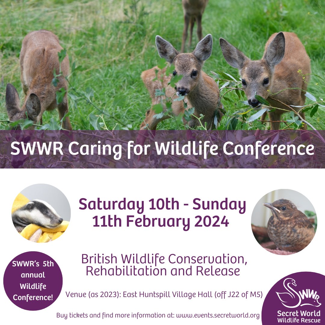 If anyone’s interested in attending the SWWR Conference we could also arrange for a tour round the Brinsea factory on the Friday or the Monday! Please contact SWWR direct for the programme of speakers. 🦔 #wildliferescue  #hedgehogrescue