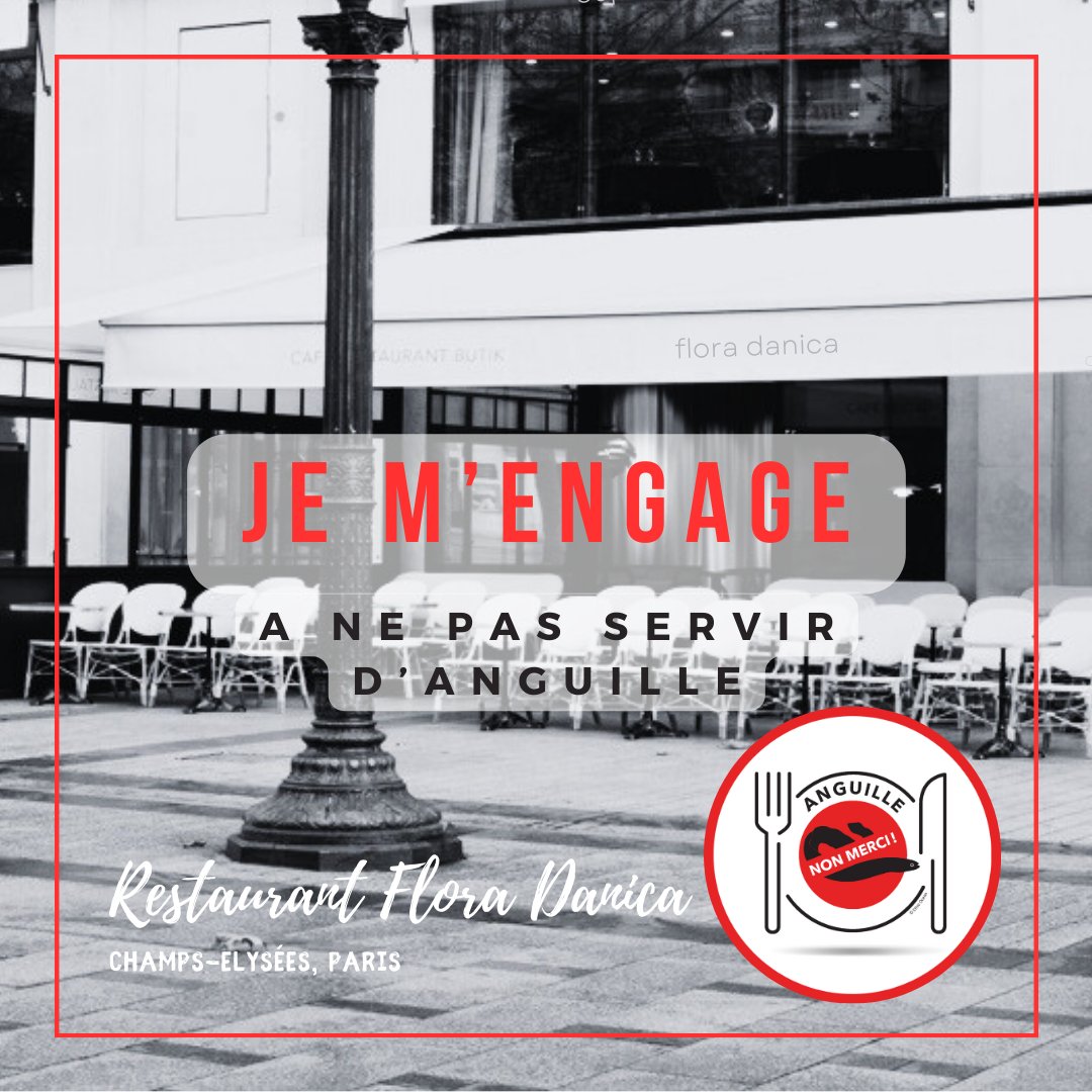 Ethic Ocean (@ethic_ocean) on Twitter photo ESPÈCE EN DANGER CRITIQUE D'EXTINCTION
#FloraDanica
#AnguilleNonMerci #chefengagé #biodiversité #anguille #cuisineresponsable #préservonslesressources
<a href="/GrandOcean/">Grand Océan</a> <a href="/ORoellinger/">Olivier Roellinger</a> <a href="/RelaisChateaux/">Relais & Châteaux</a> ESPÈCE EN DANGER CRITIQUE D'EXTINCTION
#FloraDanica
#AnguilleNonMerci #chefengagé #biodiversité #anguille #cuisineresponsable #préservonslesressources
<a href="/GrandOcean/">Grand Océan</a> <a href="/ORoellinger/">Olivier Roellinger</a> <a href="/RelaisChateaux/">Relais & Châteaux</a>