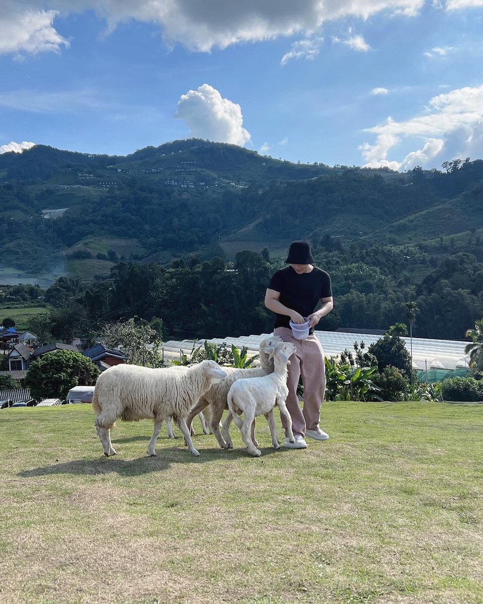 ARITHATCNX's tweet photo. 🐑 https://t.co/FqiGzonw0f