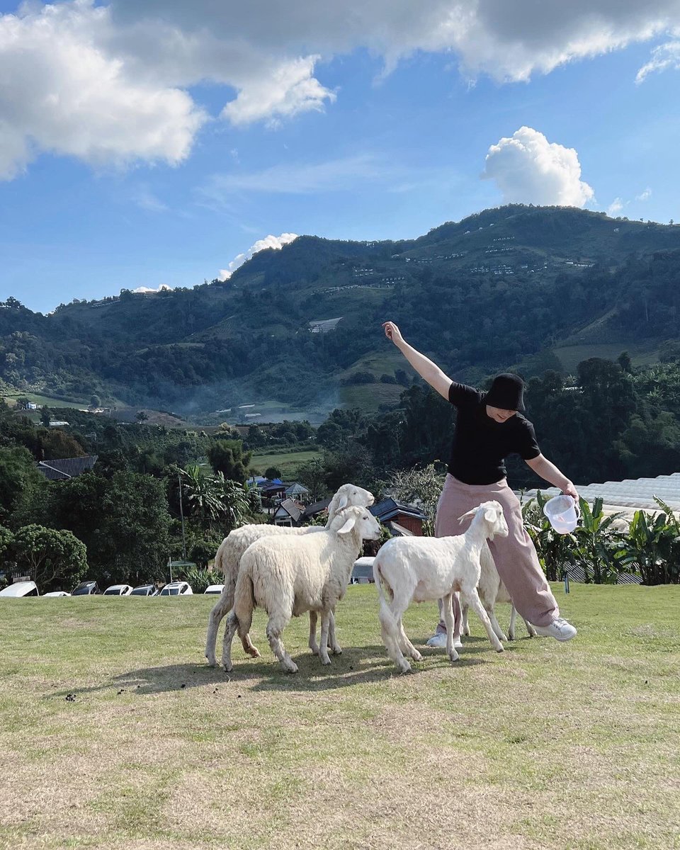 ARITHATCNX's tweet photo. 🐑 https://t.co/FqiGzonw0f