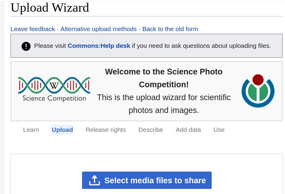 Margaret tweet media